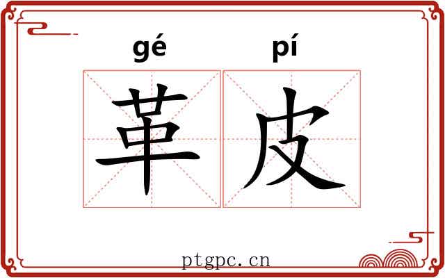 革皮 革皮