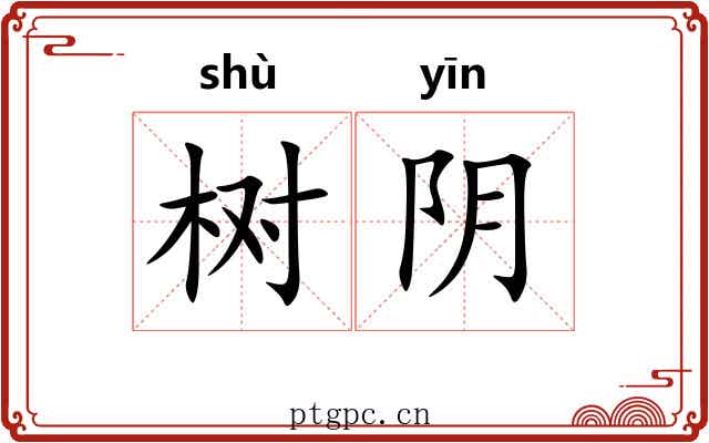 树阴 树阴