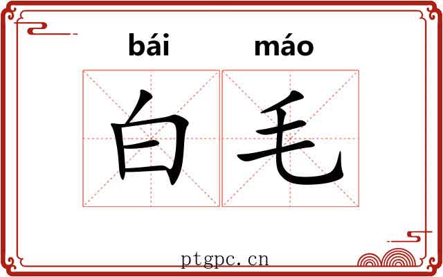白毛 白毛
