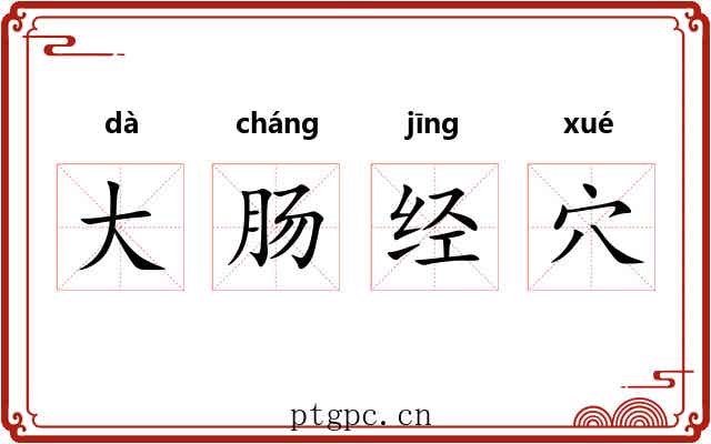 大肠经穴 大肠经穴