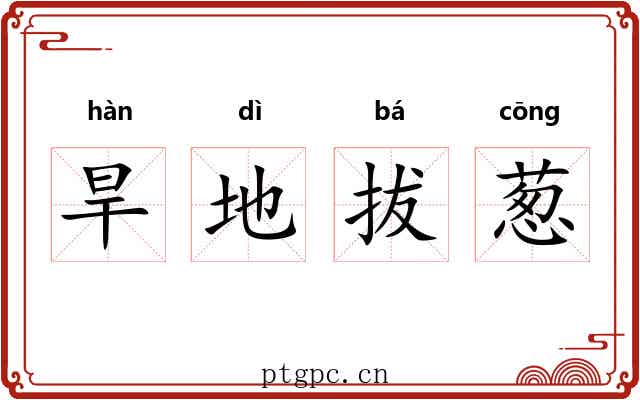 旱地拔葱 旱地拔葱