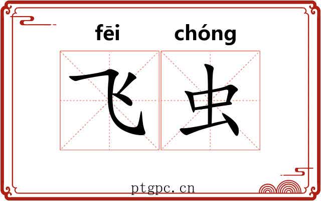飞虫