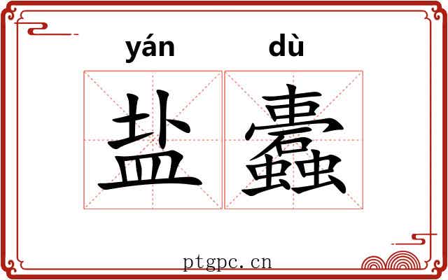 盐蠹