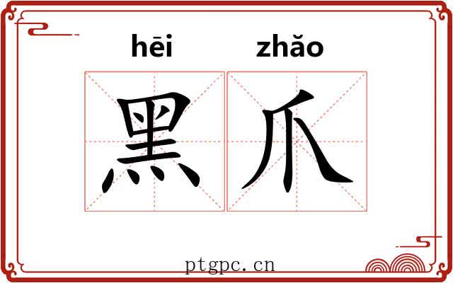 黑爪