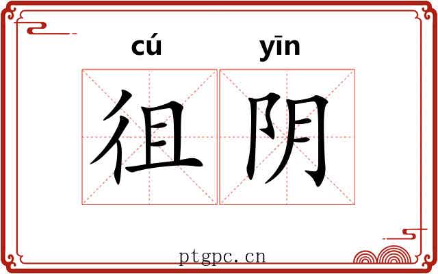 徂阴