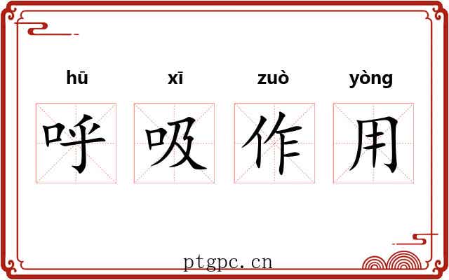 呼吸作用 呼吸作用