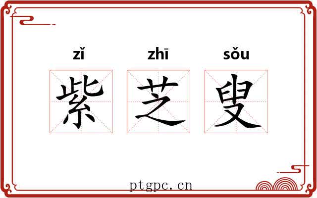 紫芝叟 紫芝叟