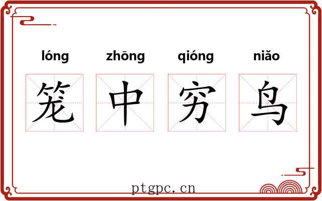 笼中穷鸟 笼中穷鸟