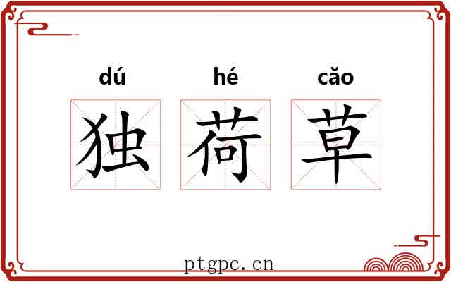 独荷草