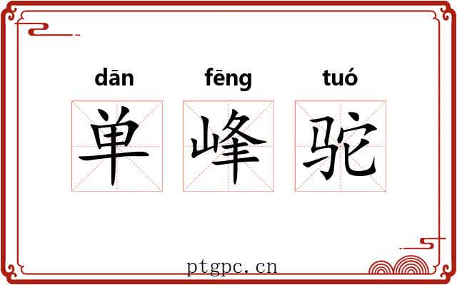单峰驼 单峰驼