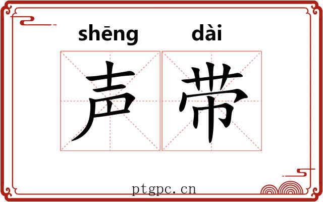 声带 声带