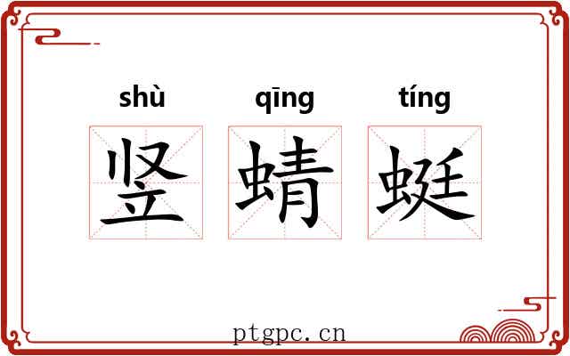 竖蜻蜓 竖蜻蜓