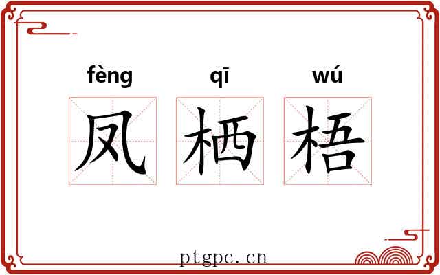 凤栖梧 凤栖梧