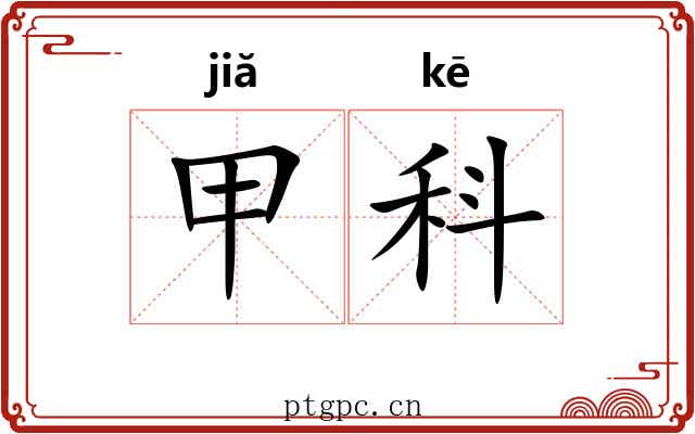 甲科 甲科