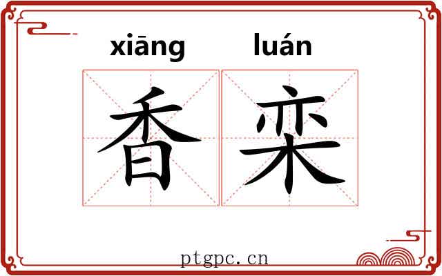 香栾 香栾