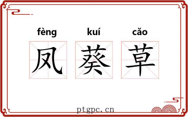 凤葵草 凤葵草