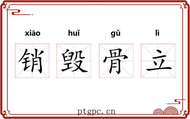销毁骨立 销毁骨立