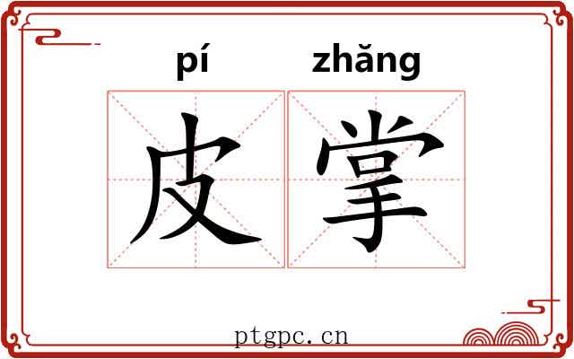 皮掌