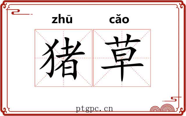 猪草 猪草