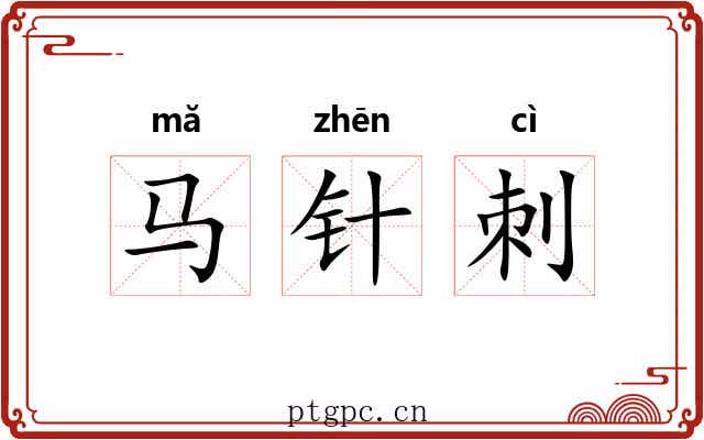 马针刺 马针刺