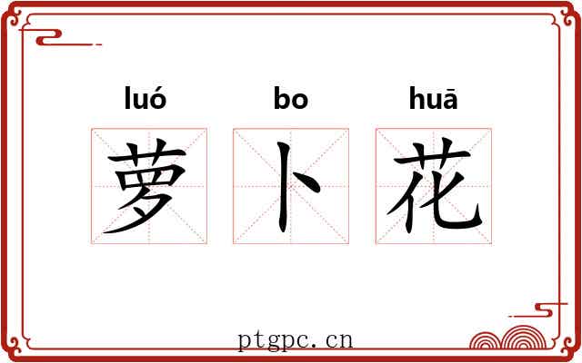 萝卜花