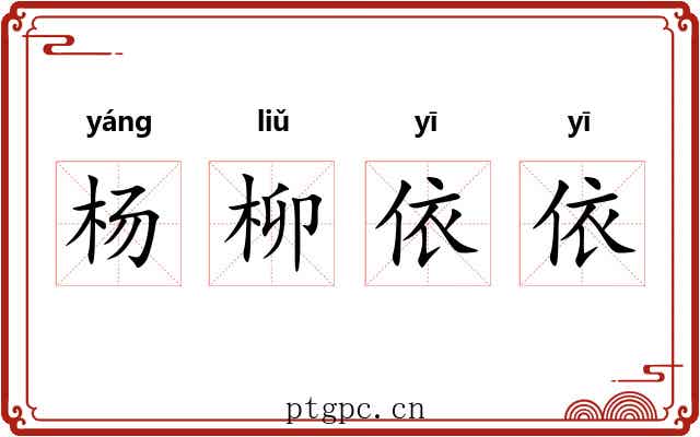 杨柳依依 杨柳依依