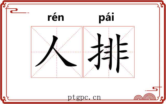 人排 人排
