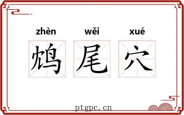 鸩尾穴 鸩尾穴
