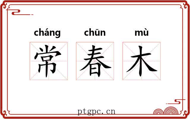 常春木