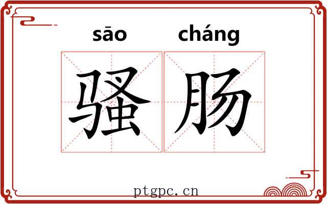 骚肠