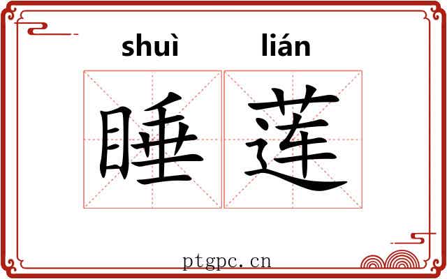 睡莲 睡莲