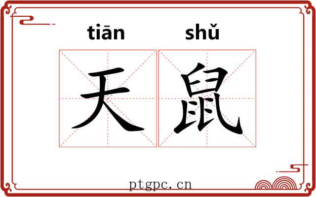 天鼠 天鼠