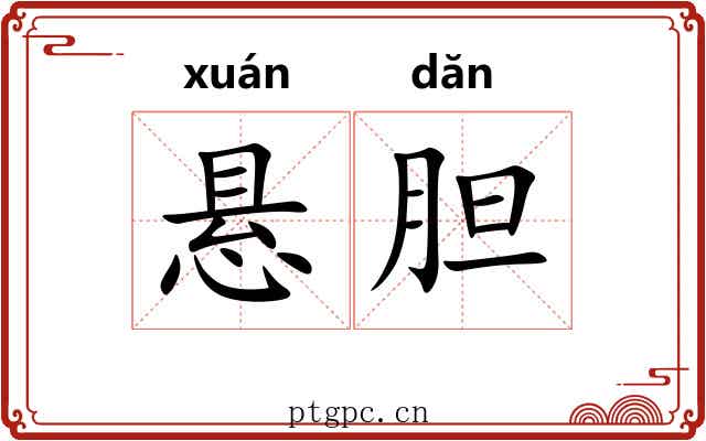 悬胆 悬胆