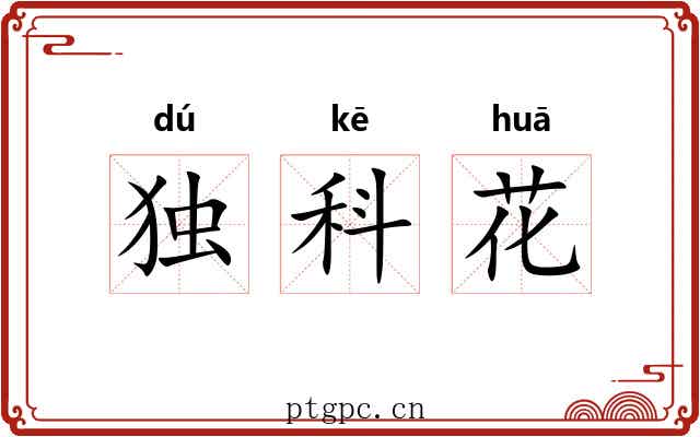 独科花 独科花