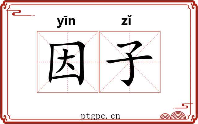 因子