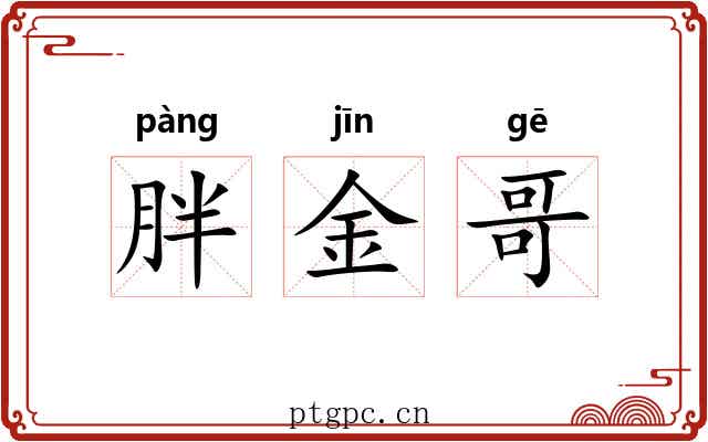 胖金哥 胖金哥