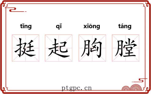 挺起胸膛 挺起胸膛
