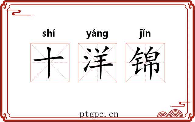 十洋锦 十洋锦