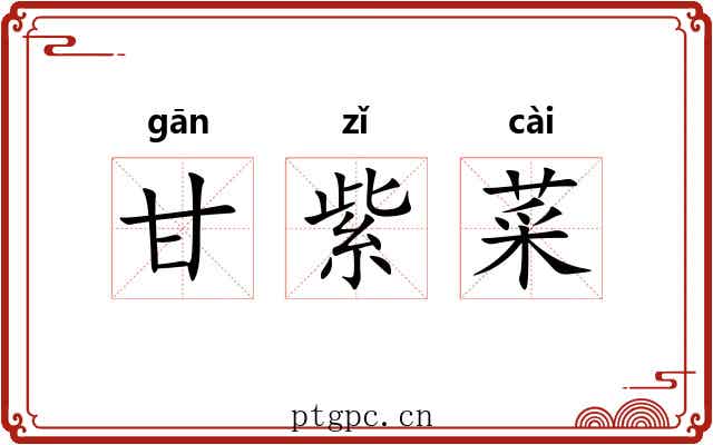 甘紫菜