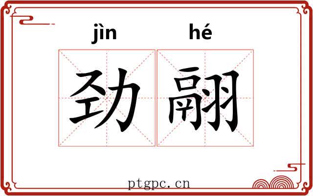 劲翮
