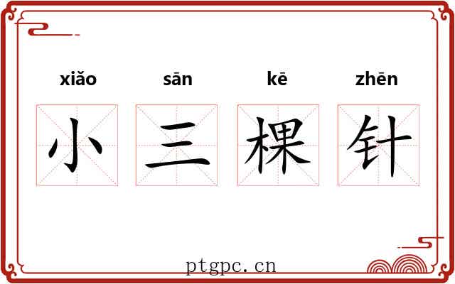 小三棵针 小三棵针