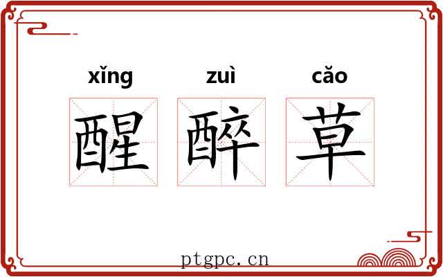 醒醉草 醒醉草