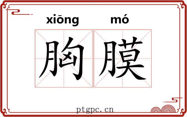 胸膜