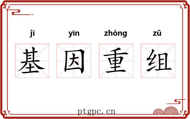 基因重组