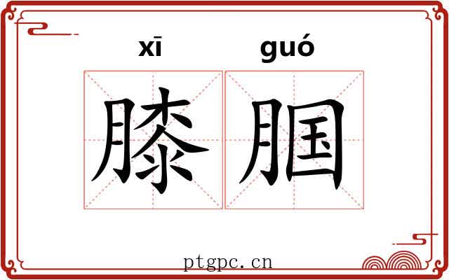 膝腘
