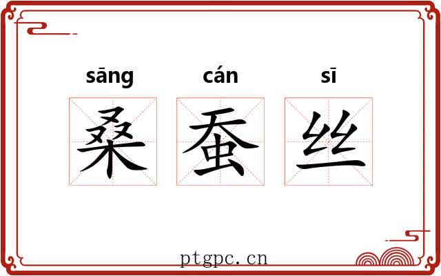 桑蚕丝 桑蚕丝