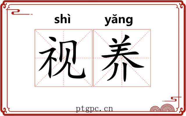 视养