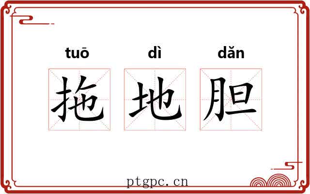 拖地胆 拖地胆