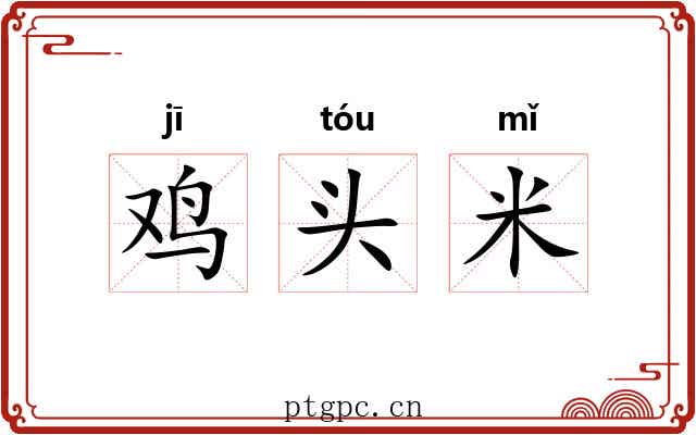鸡头米 鸡头米
