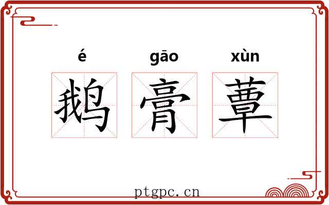 鹅膏蕈 鹅膏蕈